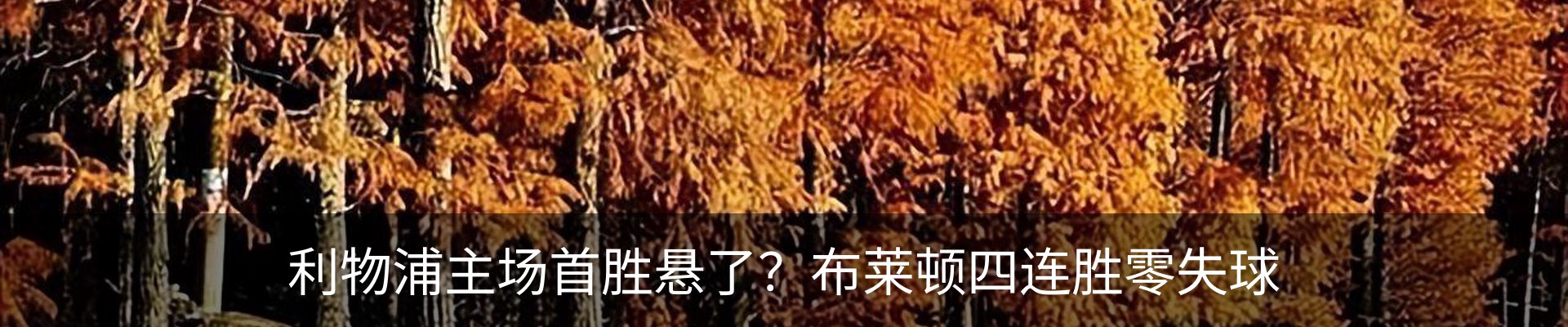 行业资讯